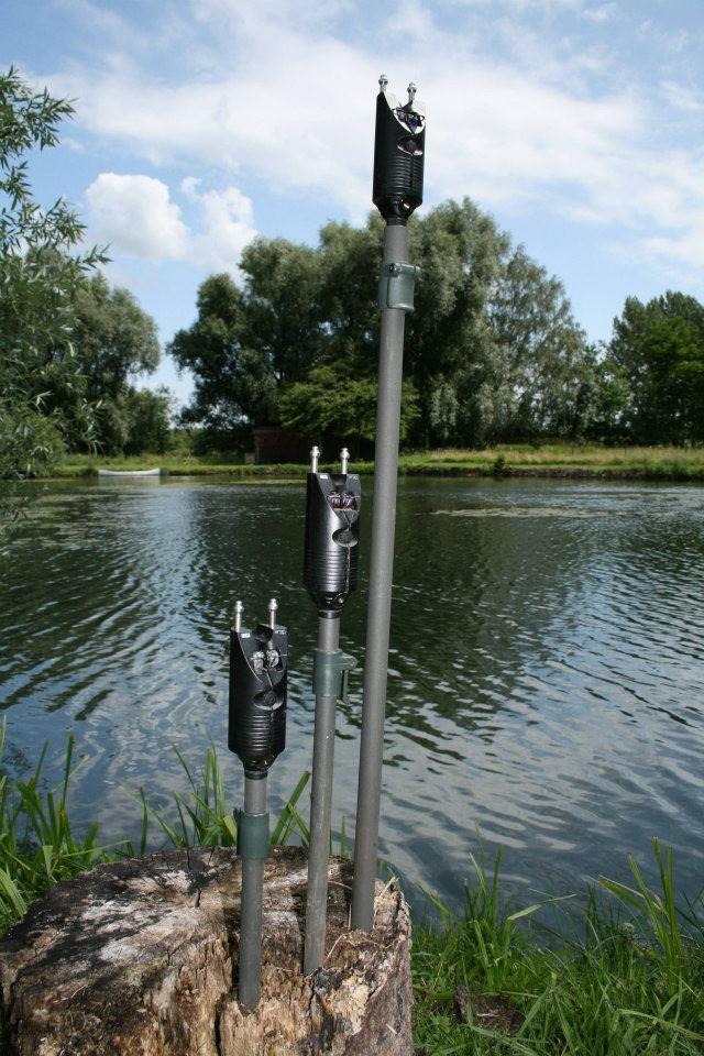 NASH - 5519234850512848476501571406840n.jpg